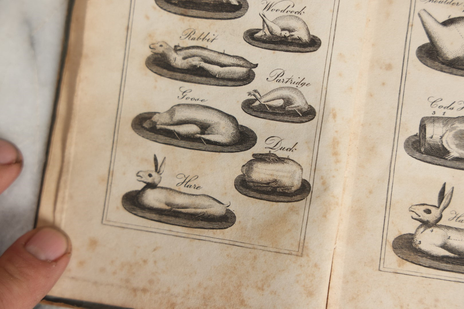 Lot 033 - "Modern Domestic Cookery And Useful Receipt Book Adapted To Families In The Middling And Genteel Ranks Of Life" Early Antique Cook Book By Elizabeth Hammond, Published 1824, London, With Illustrations