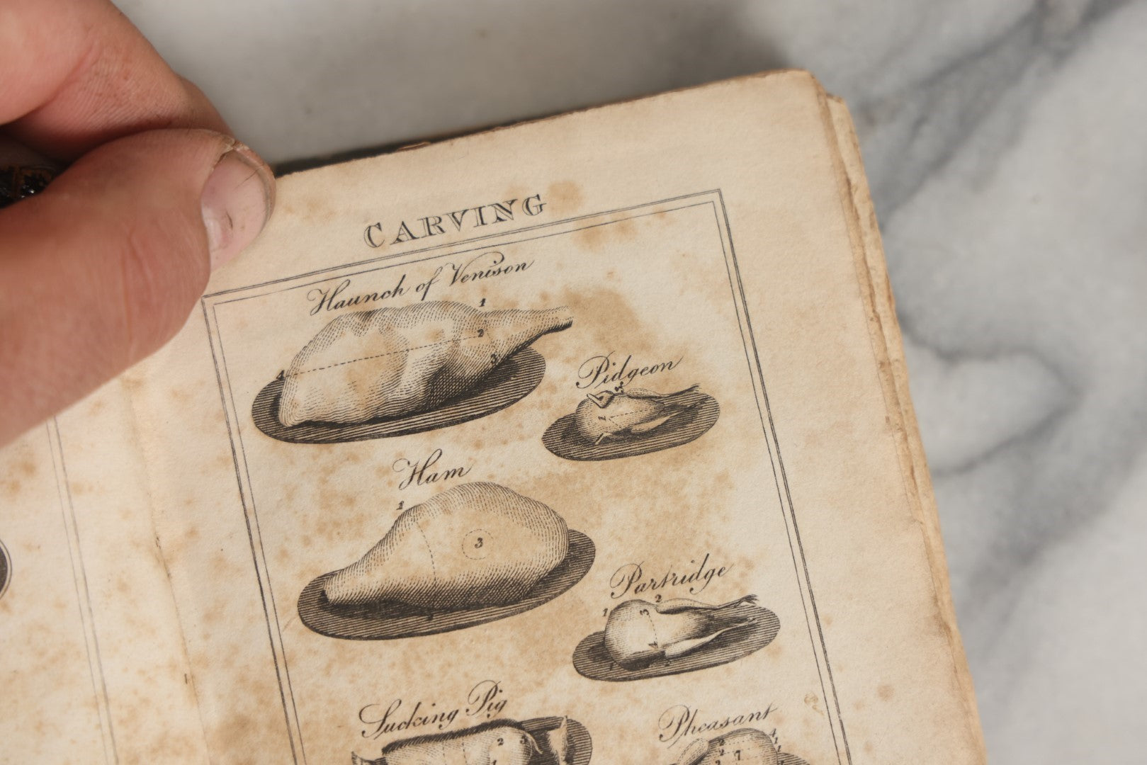 Lot 033 - "Modern Domestic Cookery And Useful Receipt Book Adapted To Families In The Middling And Genteel Ranks Of Life" Early Antique Cook Book By Elizabeth Hammond, Published 1824, London, With Illustrations