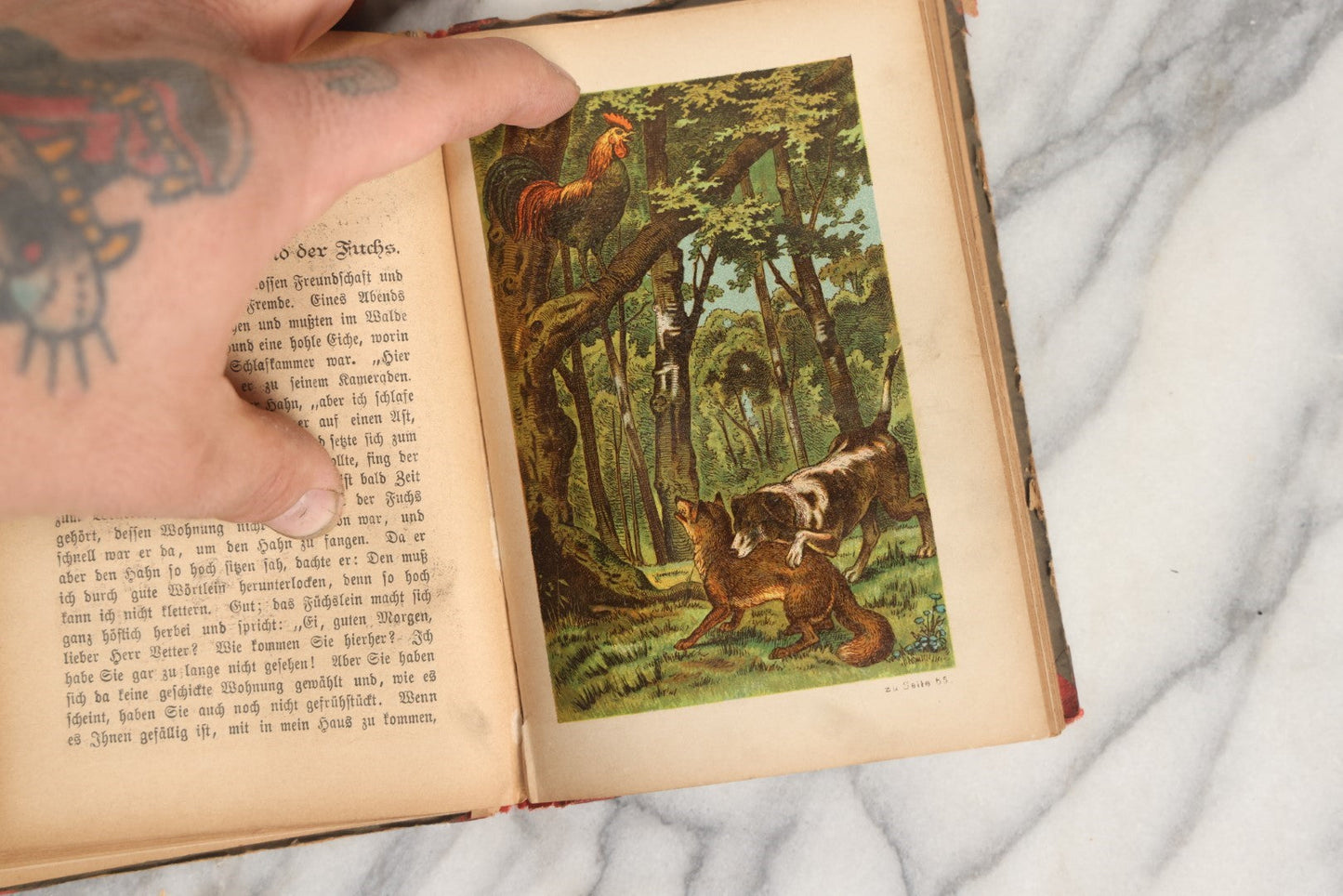 Lot 034 - "In The Realm Of Fable, A Selection Of The Best Fables And Parables (By Aesop, Lessing, Gleim, Lafontaine, Curtmann And Many Others)" Illustrated Antique German Fable Book