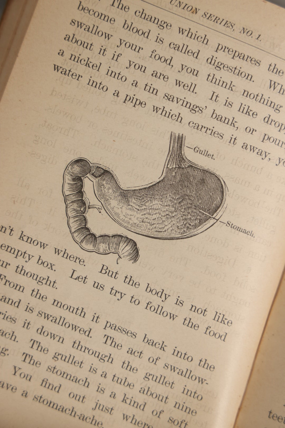 Lot 052 - "Physiology And Health For Primary Classes" Illustrated Antique Medical And Anatomy Book For School Children, Copyright 1889 By Ivison, Blakeman, And Company