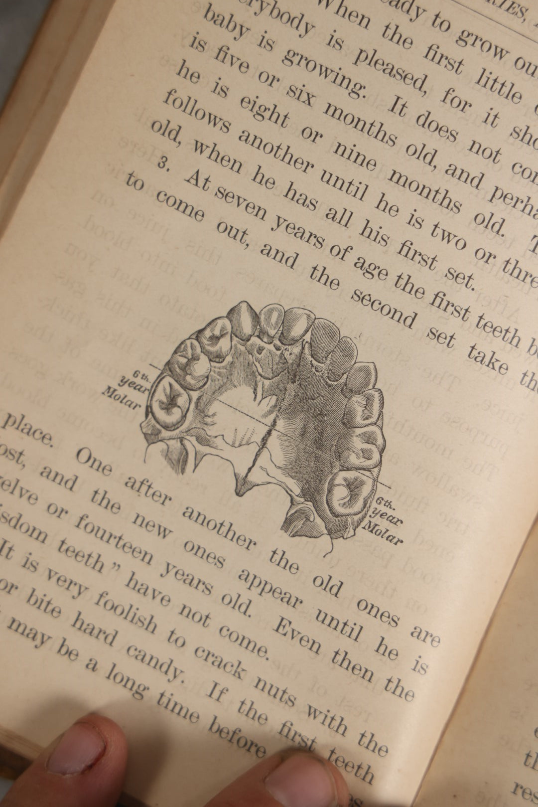 Lot 052 - "Physiology And Health For Primary Classes" Illustrated Antique Medical And Anatomy Book For School Children, Copyright 1889 By Ivison, Blakeman, And Company