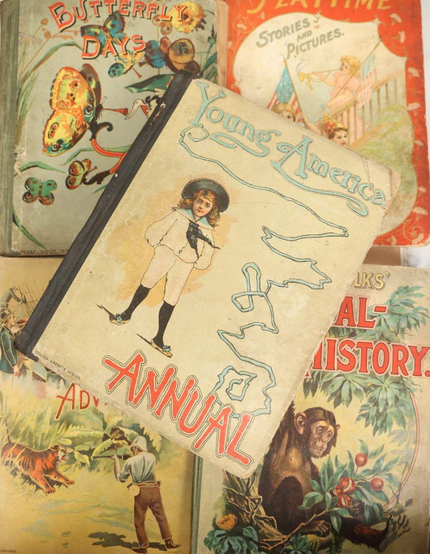 Lot 058 - Grouping Of Five Antique Illustrated Children's Hardcover Books Including Natural History, Butterfly Days, Boys Book Of Adventures, And Young America Annual, Craft Grade, Heavy Wear