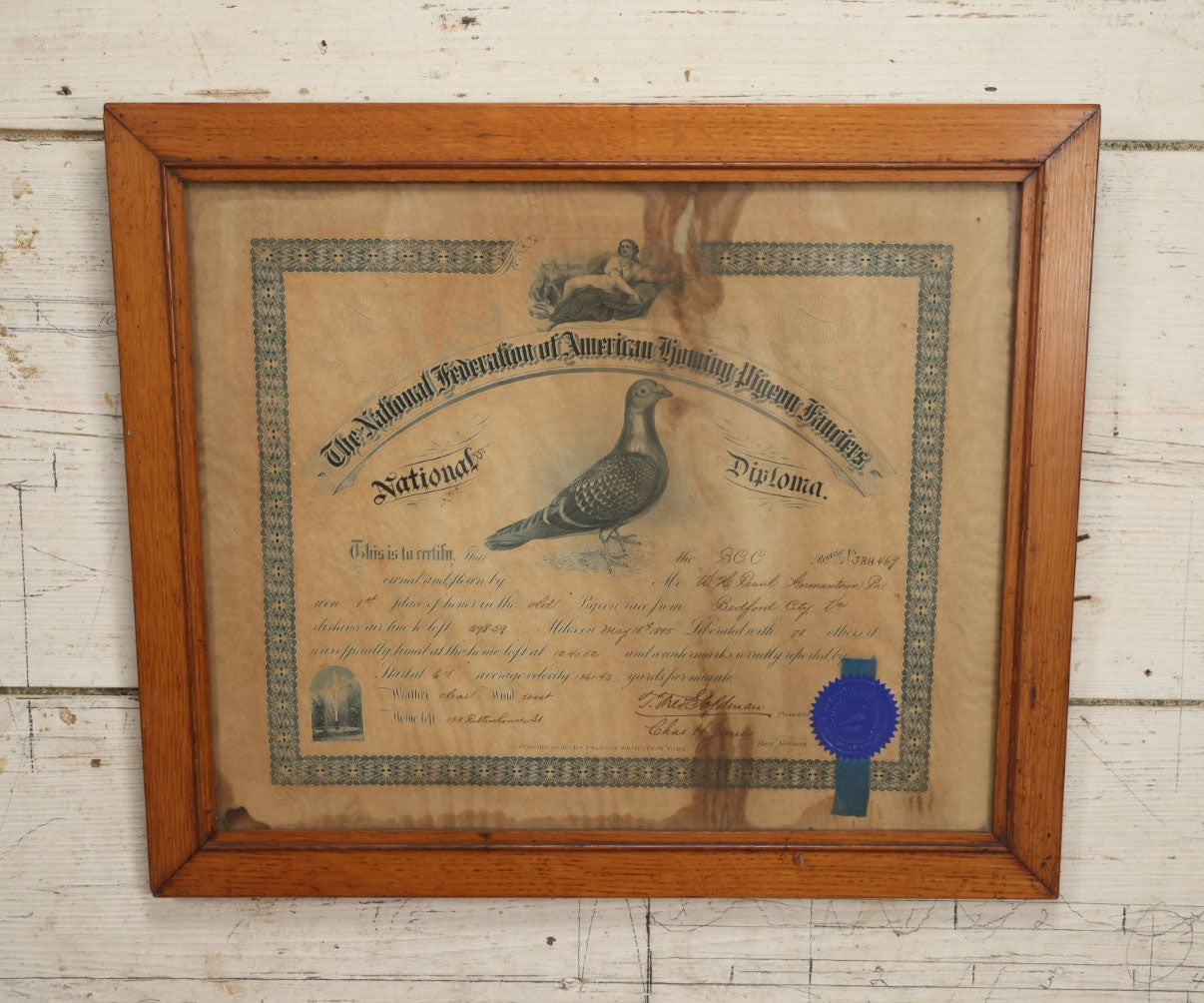 Lot 014 - Antique Diploma From The National Federation Of American Homing Pigeon Fanciers, Given To Mr. W.H. Praul, Germantown, Pennsylvania, May 1895