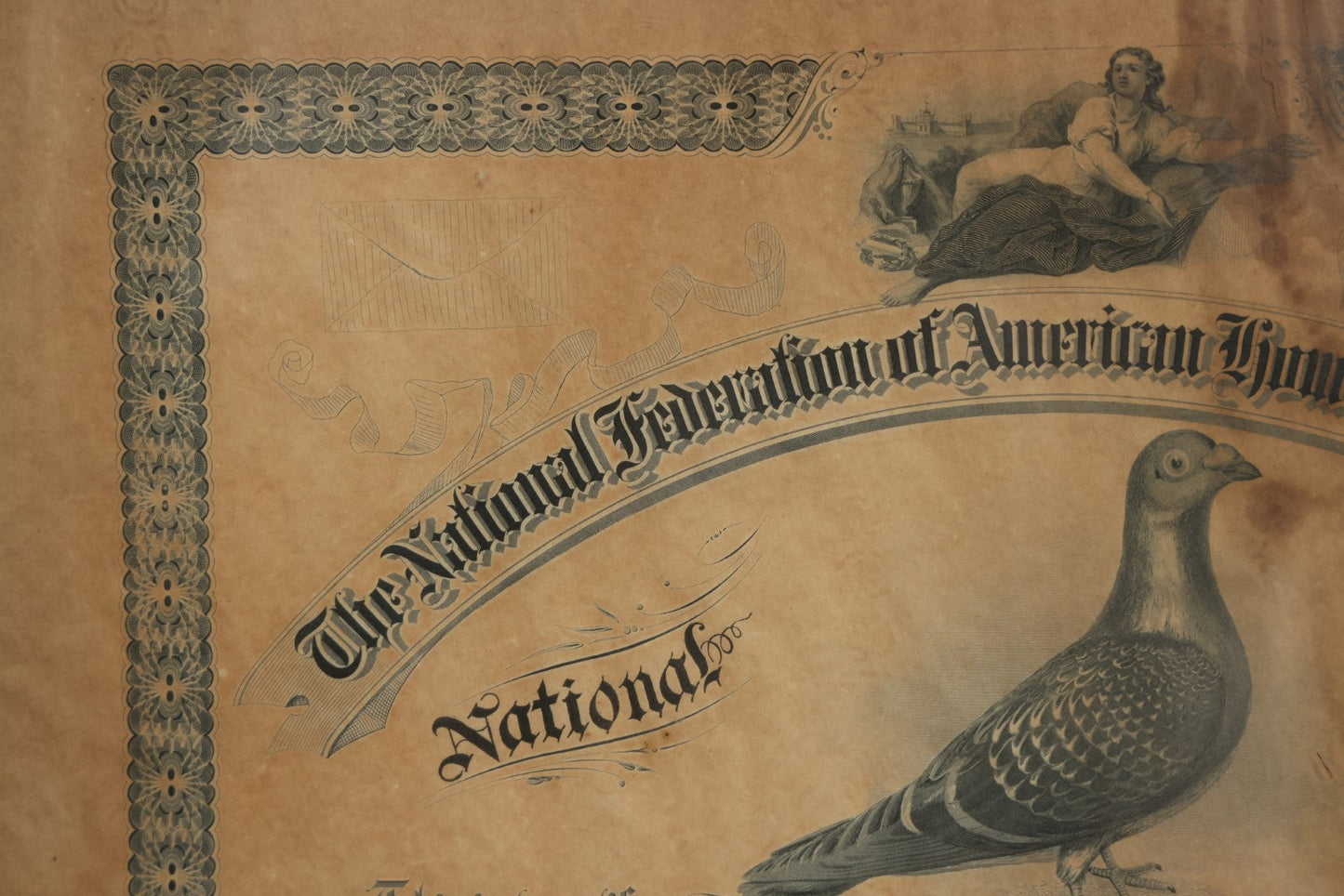 Lot 014 - Antique Diploma From The National Federation Of American Homing Pigeon Fanciers, Given To Mr. W.H. Praul, Germantown, Pennsylvania, May 1895