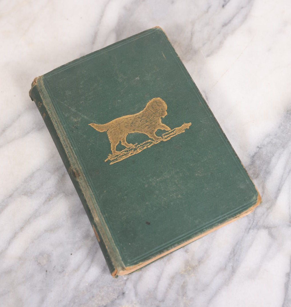 Lot 010 - "The Dog, With Simple Directions Of His Treatment, And Noticed Of The Best Dogs Of The Day" Antique Illustrated Book By Idstone, Published By Cassell, Petter, And Galpin, Fourth Edition, Late 19th Century