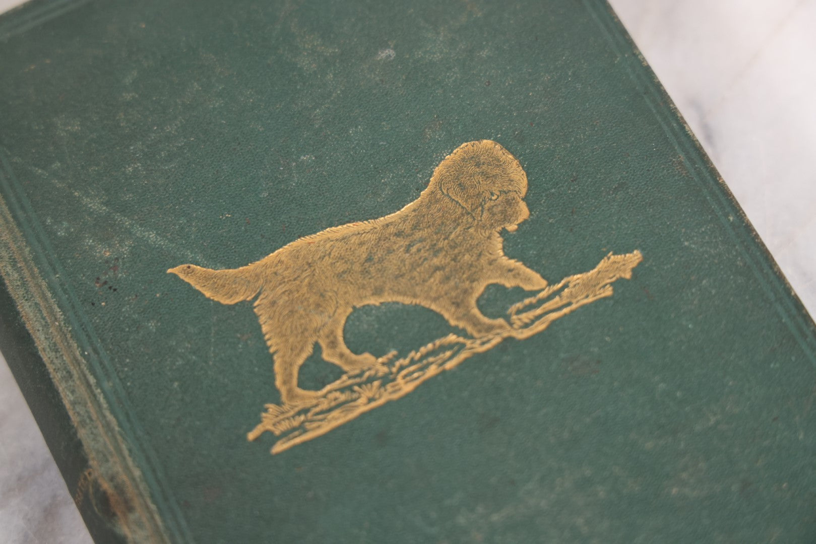 Lot 010 - "The Dog, With Simple Directions Of His Treatment, And Noticed Of The Best Dogs Of The Day" Antique Illustrated Book By Idstone, Published By Cassell, Petter, And Galpin, Fourth Edition, Late 19th Century