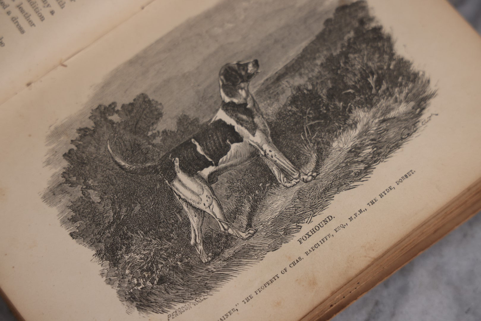 Lot 010 - "The Dog, With Simple Directions Of His Treatment, And Noticed Of The Best Dogs Of The Day" Antique Illustrated Book By Idstone, Published By Cassell, Petter, And Galpin, Fourth Edition, Late 19th Century