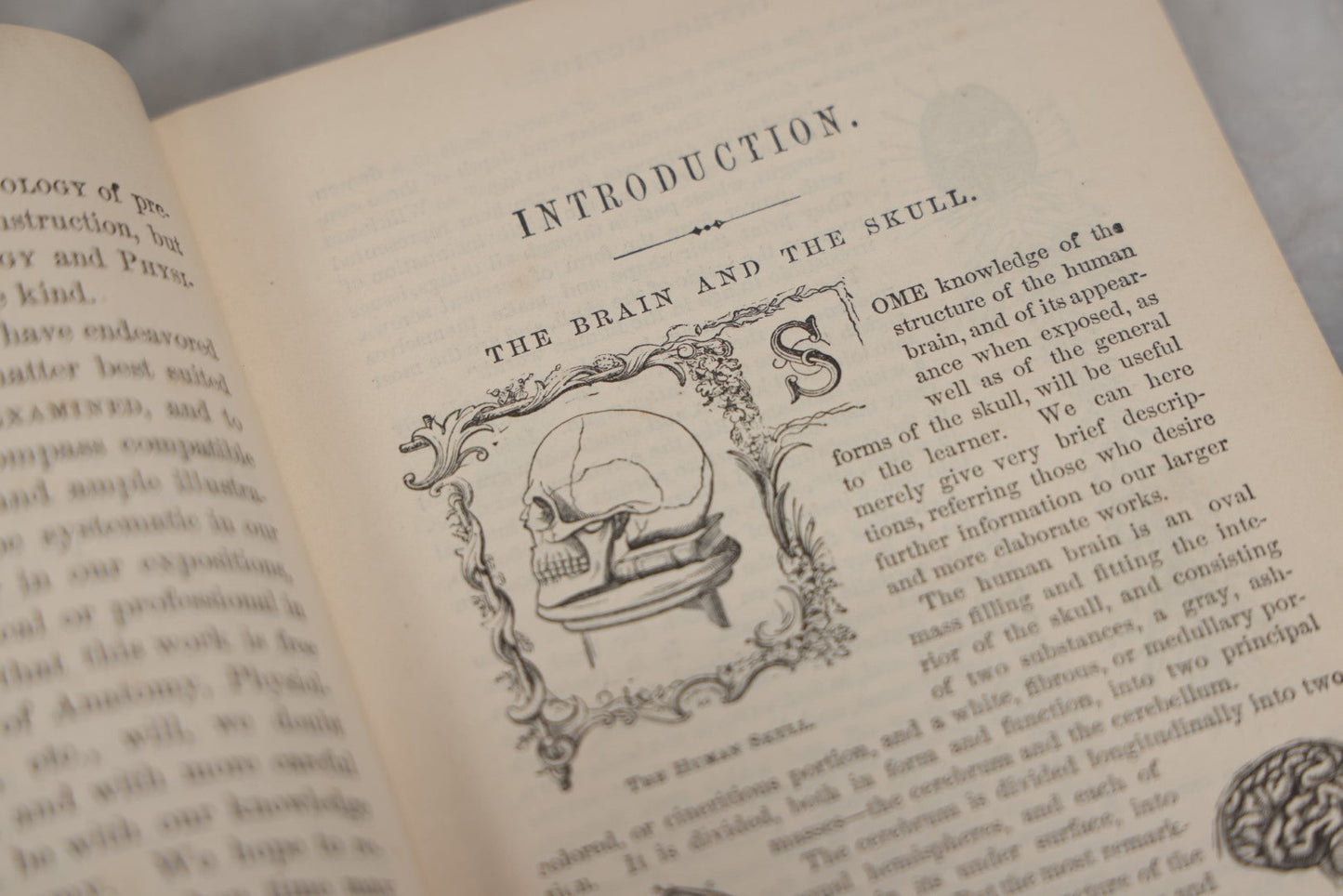 Lot 011 - "How To Read Character: A New Illustrated Hand-Book Of Phrenology And Physiognomy" Antique Book By Samuel R. Wells, Published 1877