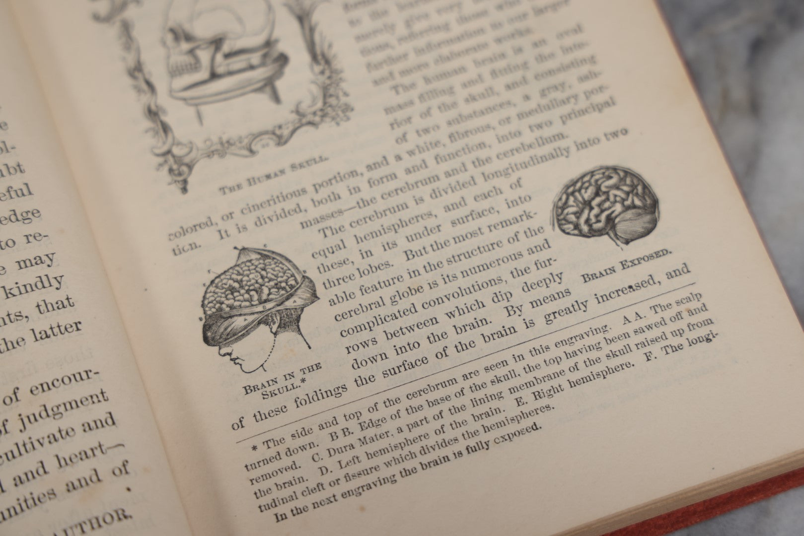 Lot 011 - "How To Read Character: A New Illustrated Hand-Book Of Phrenology And Physiognomy" Antique Book By Samuel R. Wells, Published 1877