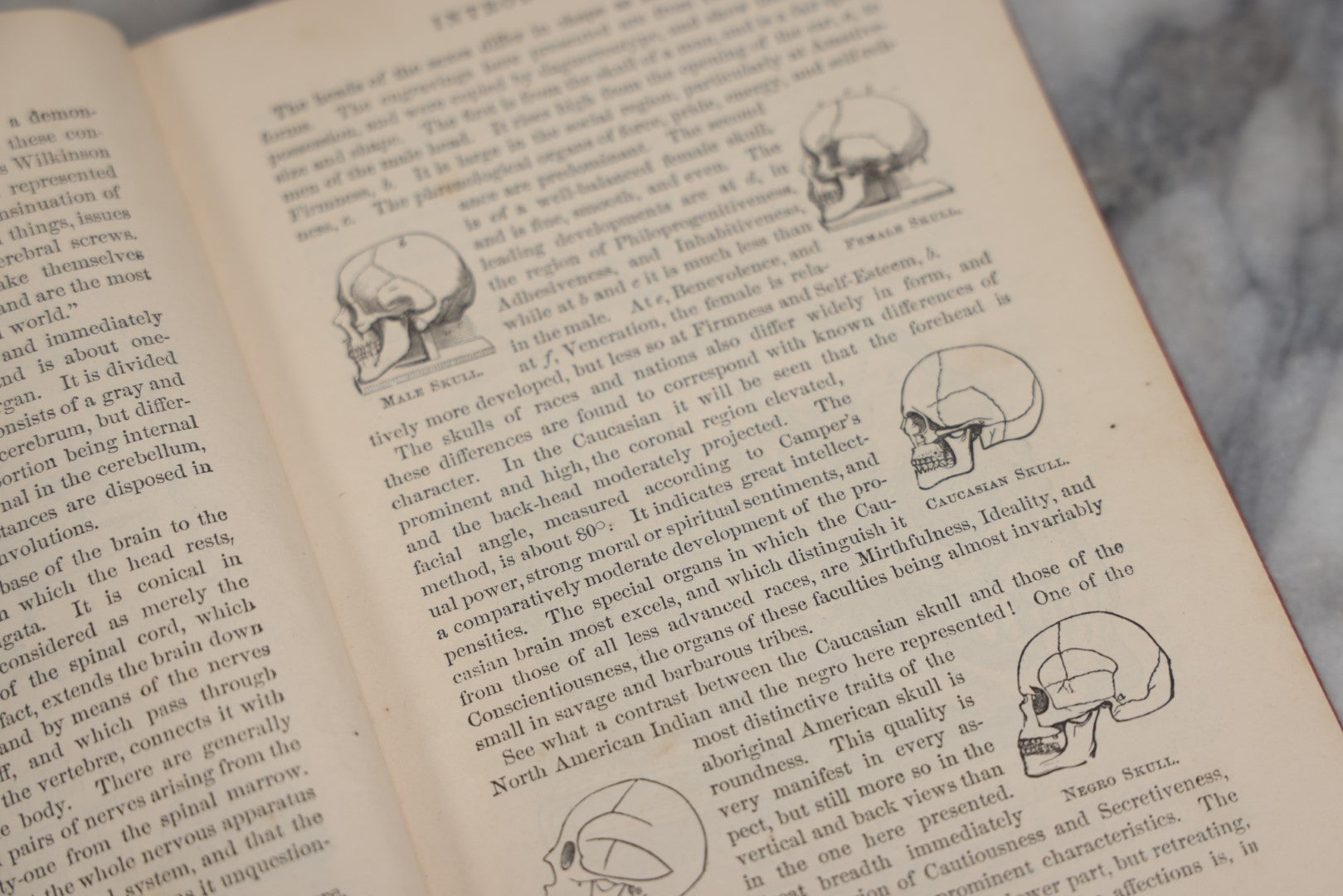 Lot 011 - "How To Read Character: A New Illustrated Hand-Book Of Phrenology And Physiognomy" Antique Book By Samuel R. Wells, Published 1877