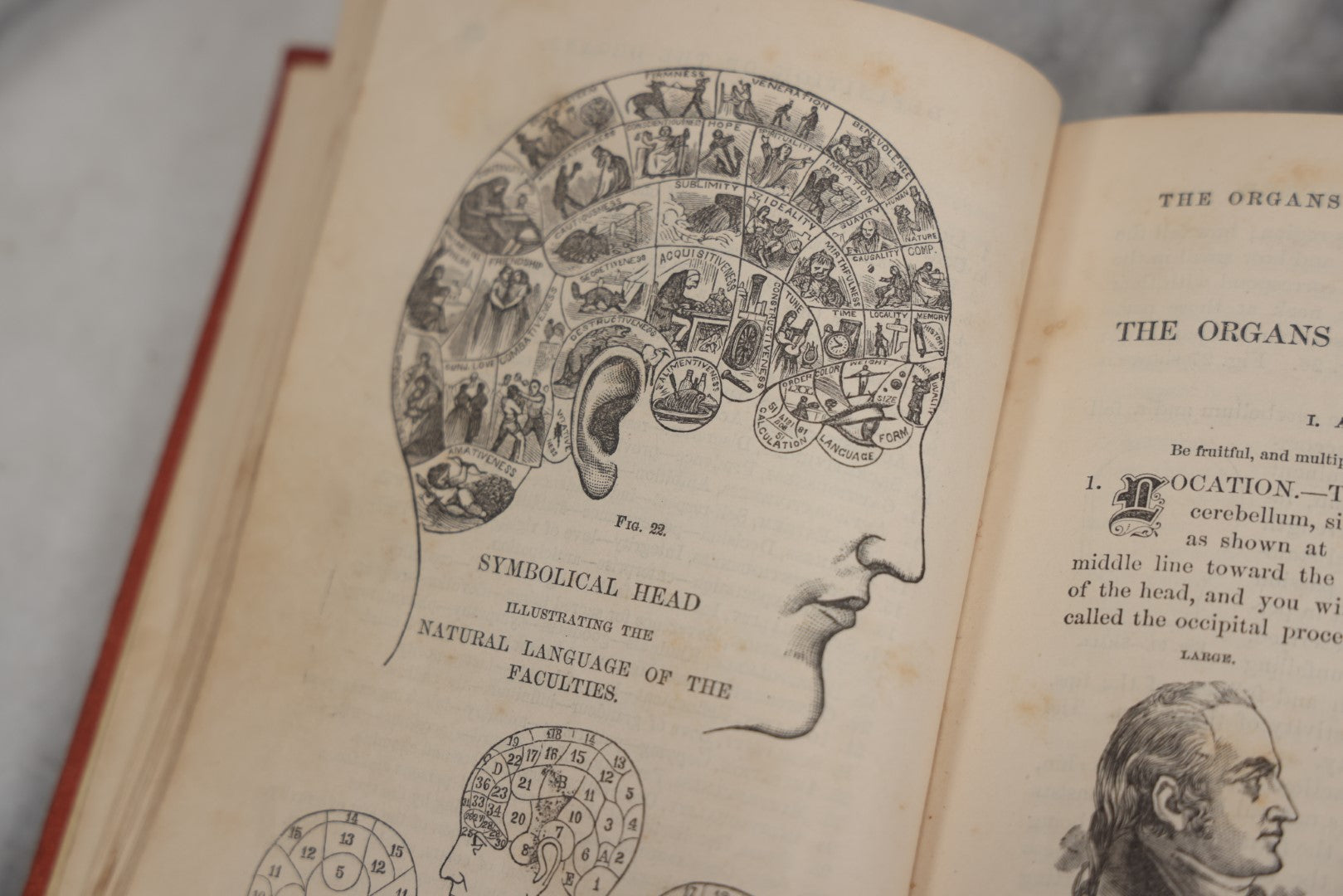 Lot 011 - "How To Read Character: A New Illustrated Hand-Book Of Phrenology And Physiognomy" Antique Book By Samuel R. Wells, Published 1877