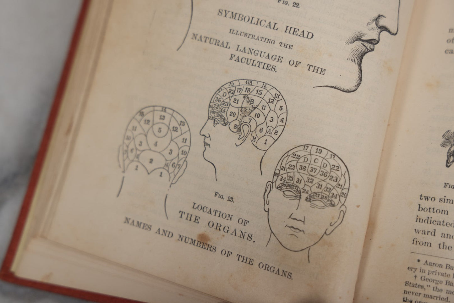 Lot 011 - "How To Read Character: A New Illustrated Hand-Book Of Phrenology And Physiognomy" Antique Book By Samuel R. Wells, Published 1877