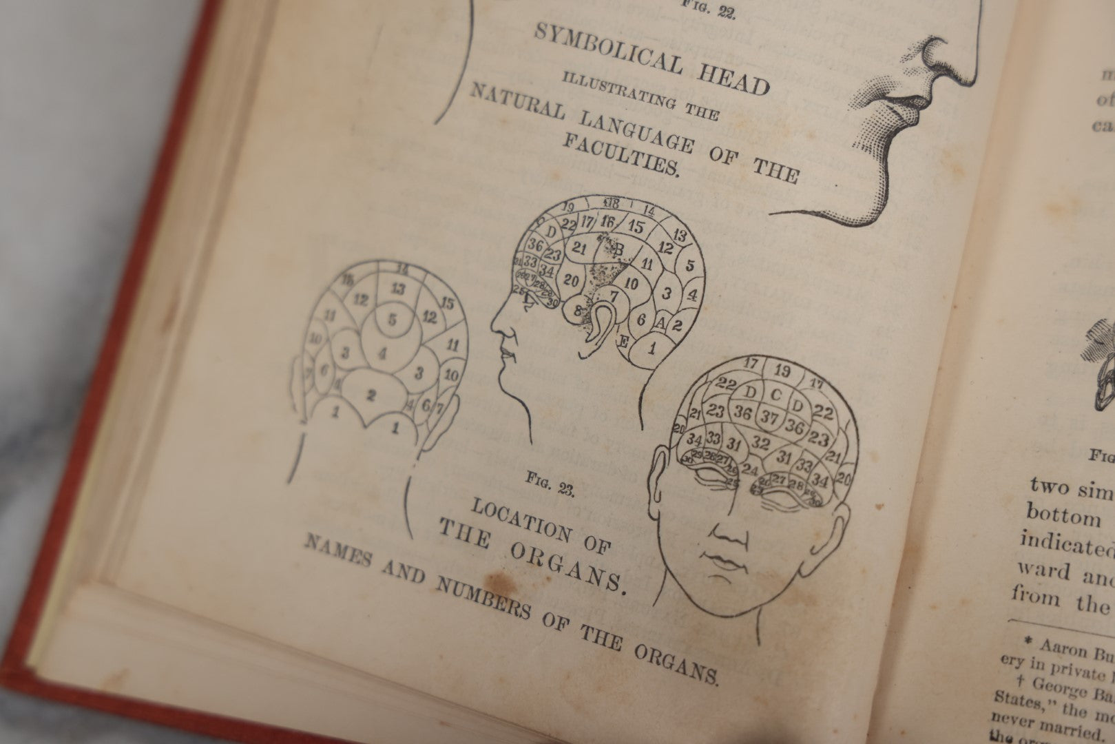 Lot 011 - "How To Read Character: A New Illustrated Hand-Book Of Phrenology And Physiognomy" Antique Book By Samuel R. Wells, Published 1877