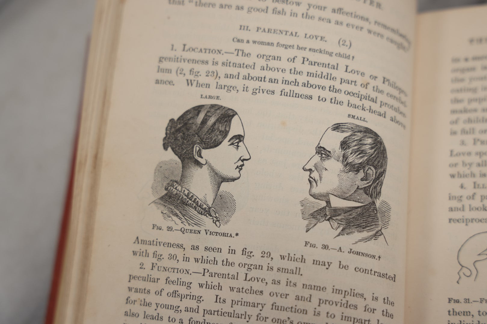 Lot 011 - "How To Read Character: A New Illustrated Hand-Book Of Phrenology And Physiognomy" Antique Book By Samuel R. Wells, Published 1877