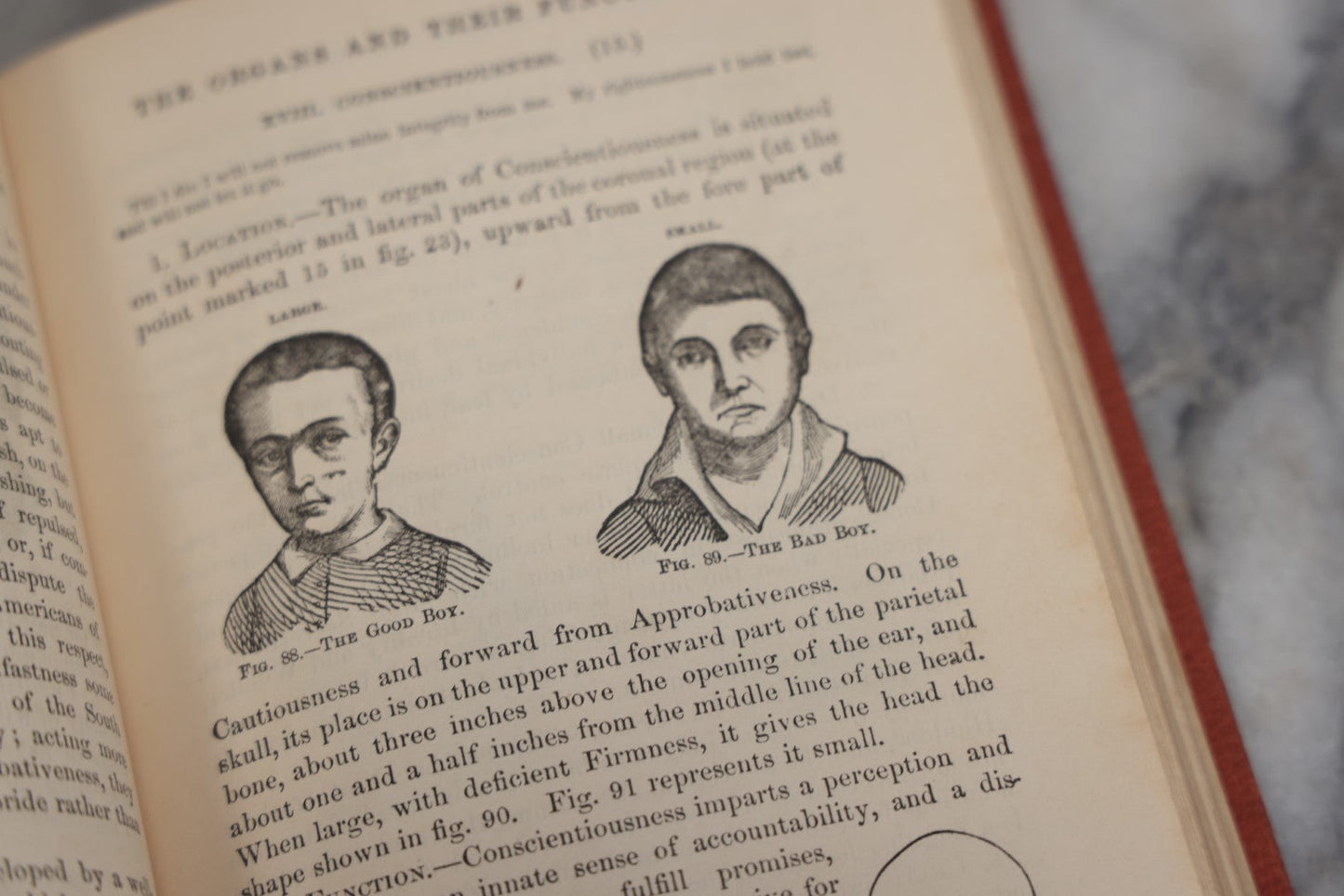 Lot 011 - "How To Read Character: A New Illustrated Hand-Book Of Phrenology And Physiognomy" Antique Book By Samuel R. Wells, Published 1877