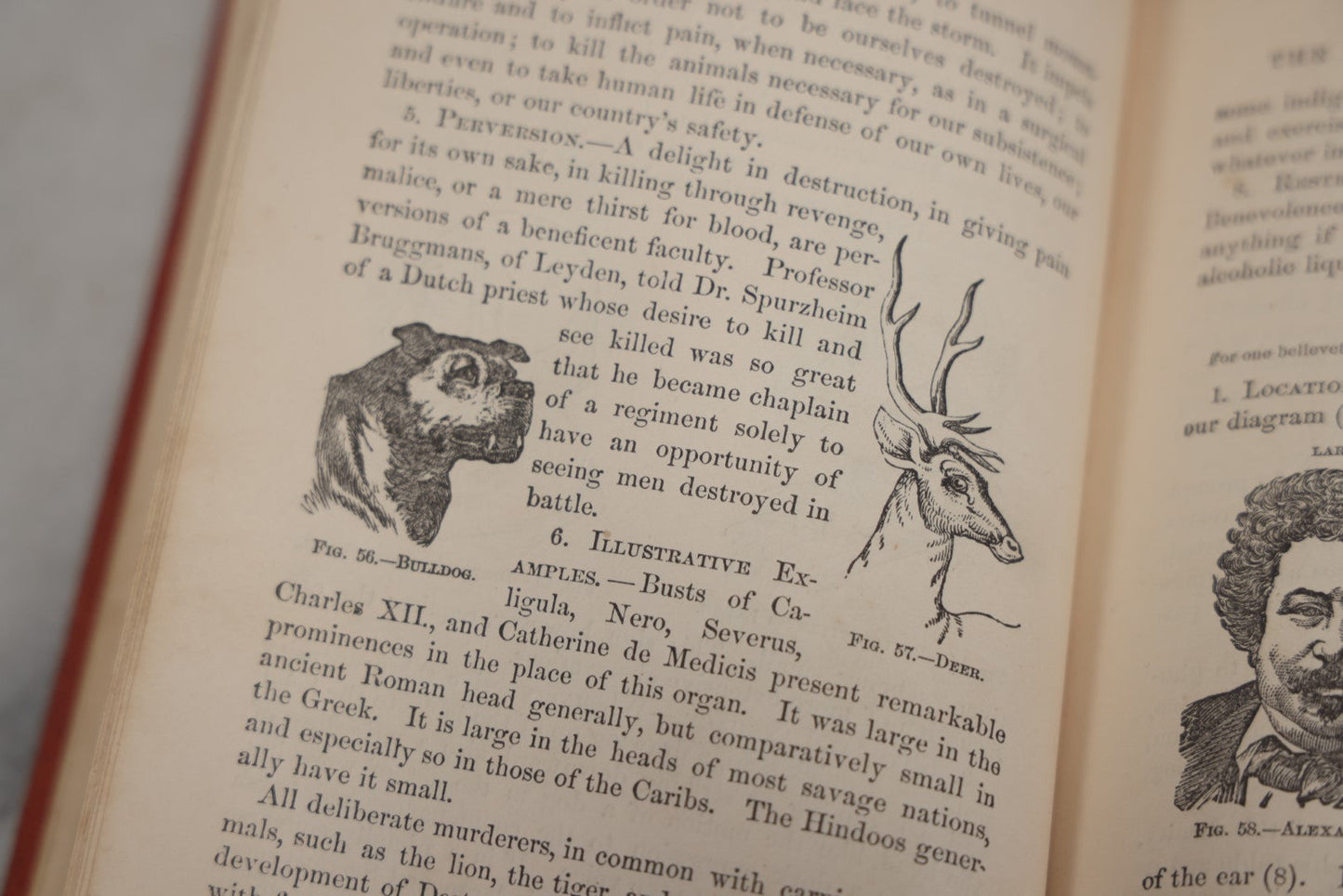 Lot 011 - "How To Read Character: A New Illustrated Hand-Book Of Phrenology And Physiognomy" Antique Book By Samuel R. Wells, Published 1877