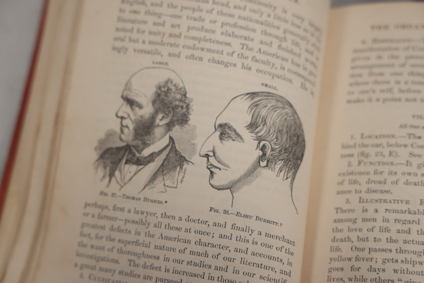 Lot 011 - "How To Read Character: A New Illustrated Hand-Book Of Phrenology And Physiognomy" Antique Book By Samuel R. Wells, Published 1877