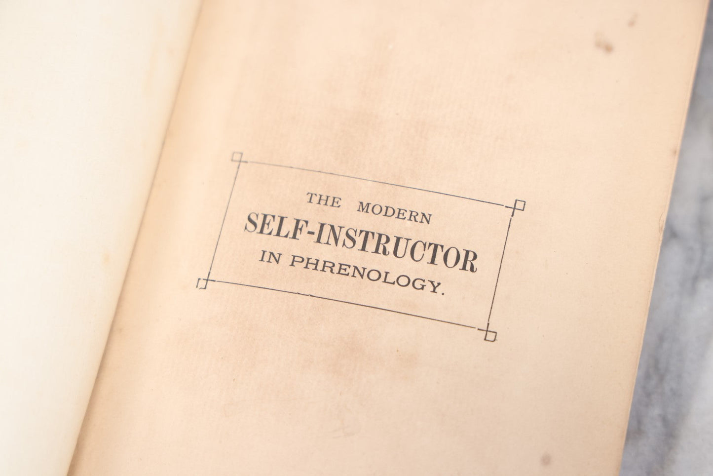 Lot 012 - "The Modern Self-Instructor In Phrenology, Physiology, And Physiognomy; Or The People's Handbook Of Human Nature," Antique Illustrated Book By Gustavus Cohen, London, 19th Century