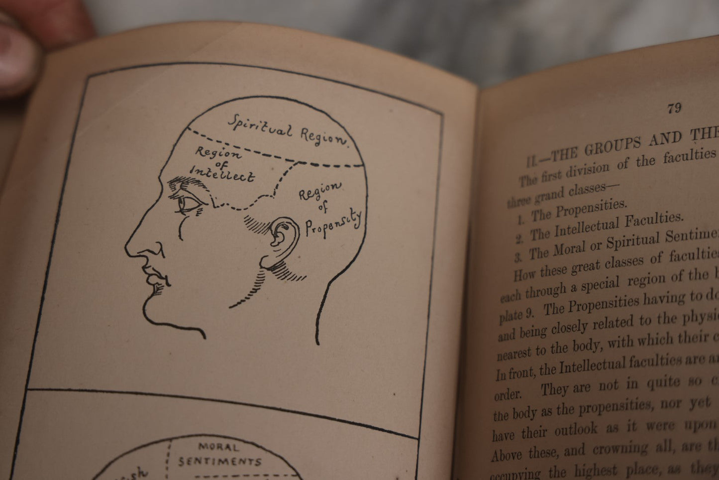 Lot 012 - "The Modern Self-Instructor In Phrenology, Physiology, And Physiognomy; Or The People's Handbook Of Human Nature," Antique Illustrated Book By Gustavus Cohen, London, 19th Century