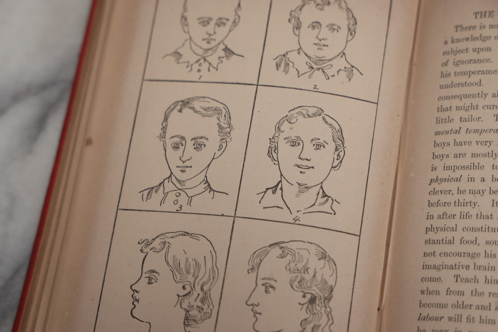 Lot 012 - "The Modern Self-Instructor In Phrenology, Physiology, And Physiognomy; Or The People's Handbook Of Human Nature," Antique Illustrated Book By Gustavus Cohen, London, 19th Century