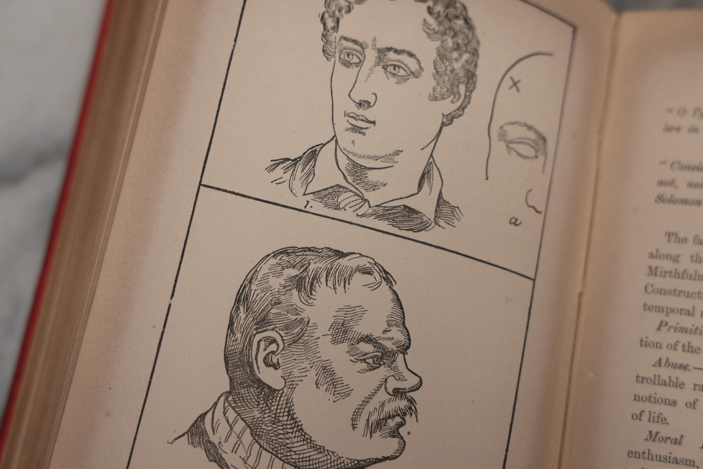 Lot 012 - "The Modern Self-Instructor In Phrenology, Physiology, And Physiognomy; Or The People's Handbook Of Human Nature," Antique Illustrated Book By Gustavus Cohen, London, 19th Century