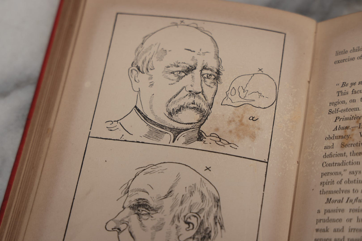 Lot 012 - "The Modern Self-Instructor In Phrenology, Physiology, And Physiognomy; Or The People's Handbook Of Human Nature," Antique Illustrated Book By Gustavus Cohen, London, 19th Century