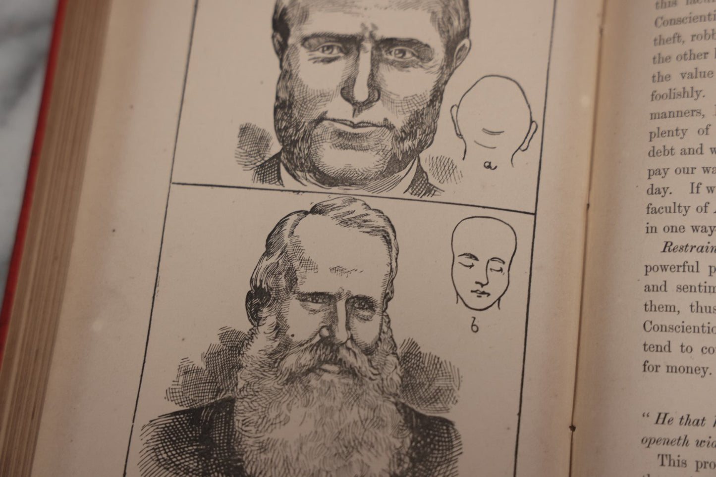 Lot 012 - "The Modern Self-Instructor In Phrenology, Physiology, And Physiognomy; Or The People's Handbook Of Human Nature," Antique Illustrated Book By Gustavus Cohen, London, 19th Century