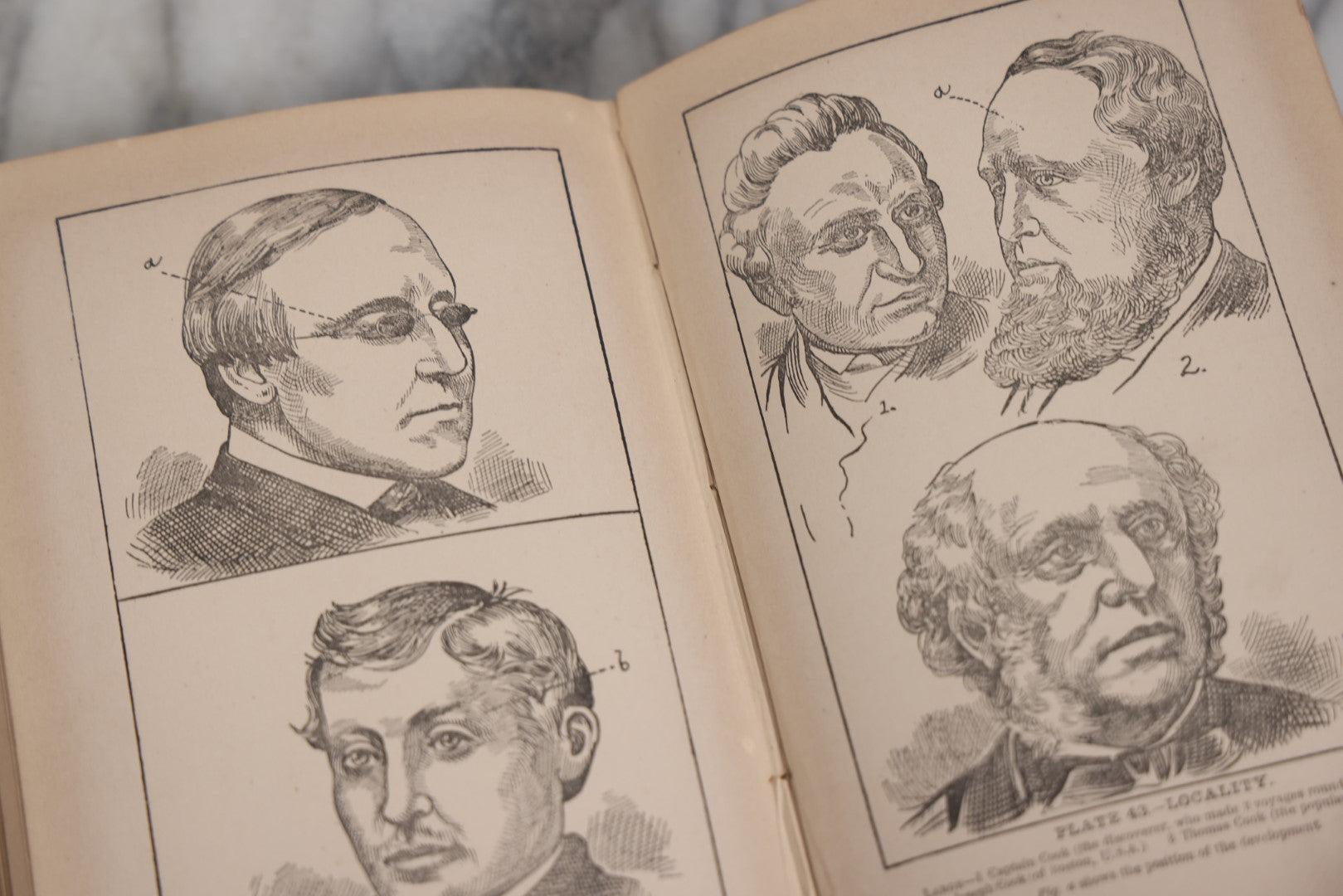 Lot 012 - "The Modern Self-Instructor In Phrenology, Physiology, And Physiognomy; Or The People's Handbook Of Human Nature," Antique Illustrated Book By Gustavus Cohen, London, 19th Century