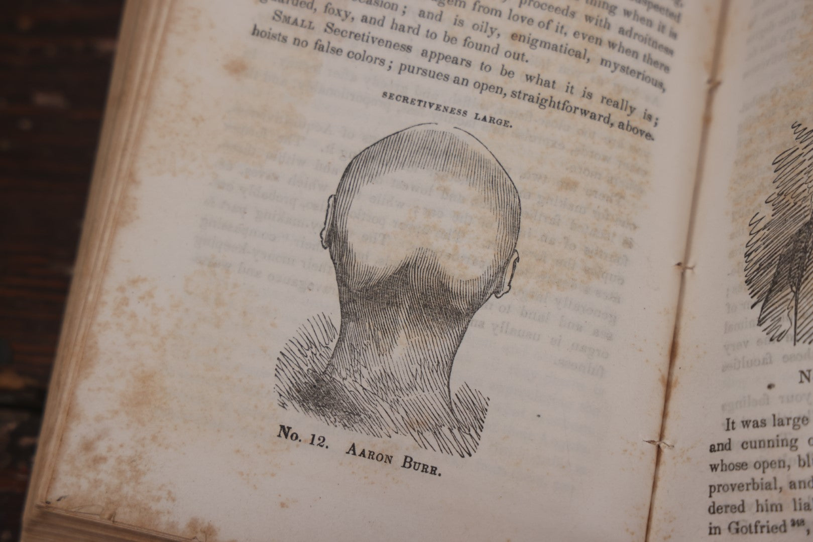 Lot 013 - "Self-Culture And Perfection Of Character" Antique Illustrated Phrenology Book By O.S. Fowler, New York, 1852