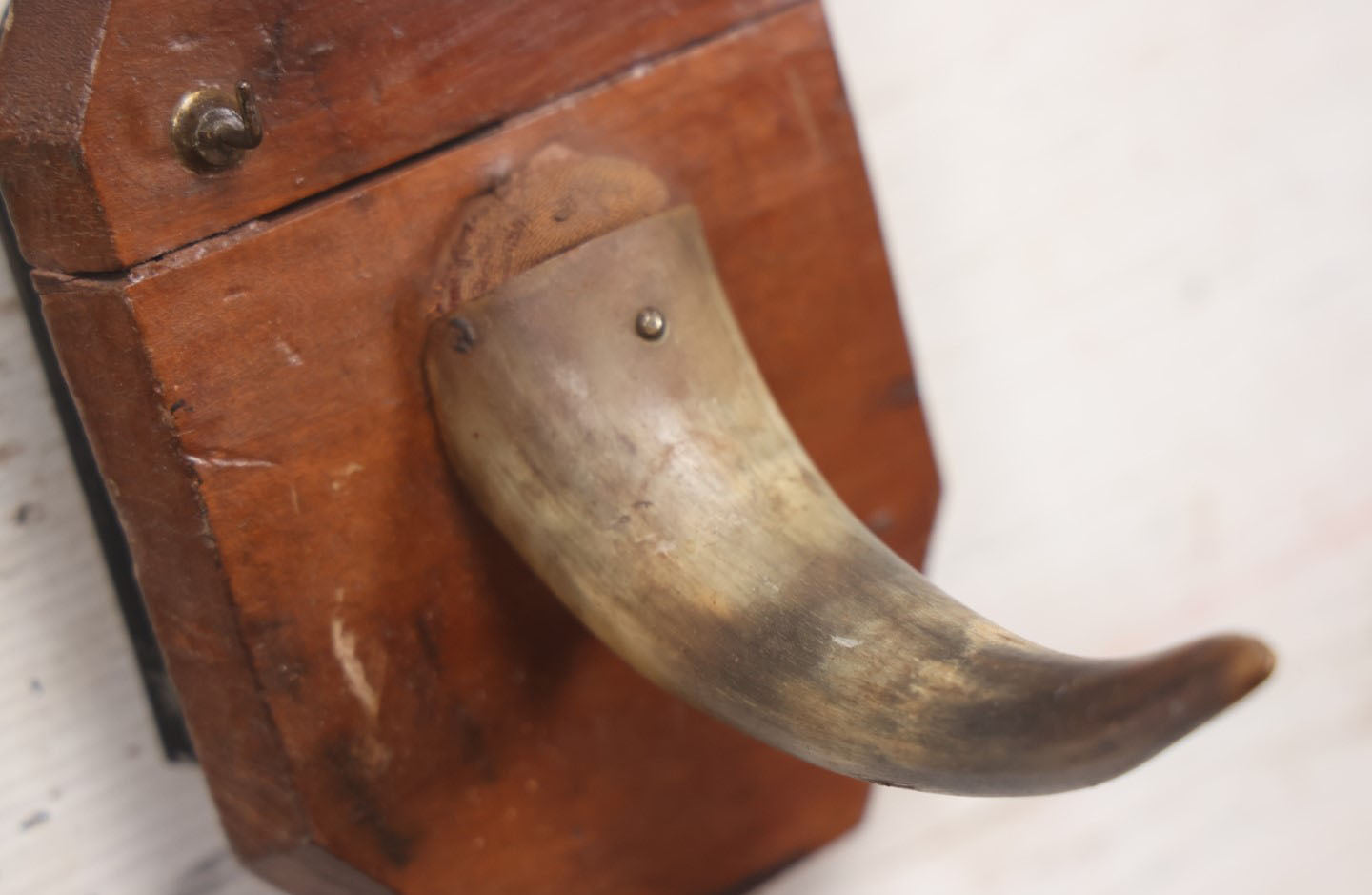 Lot 028 - Antique Real Goat Horn Wall Pocket Pin Cushion Hook With Tin Box On Back, Wooden Frame