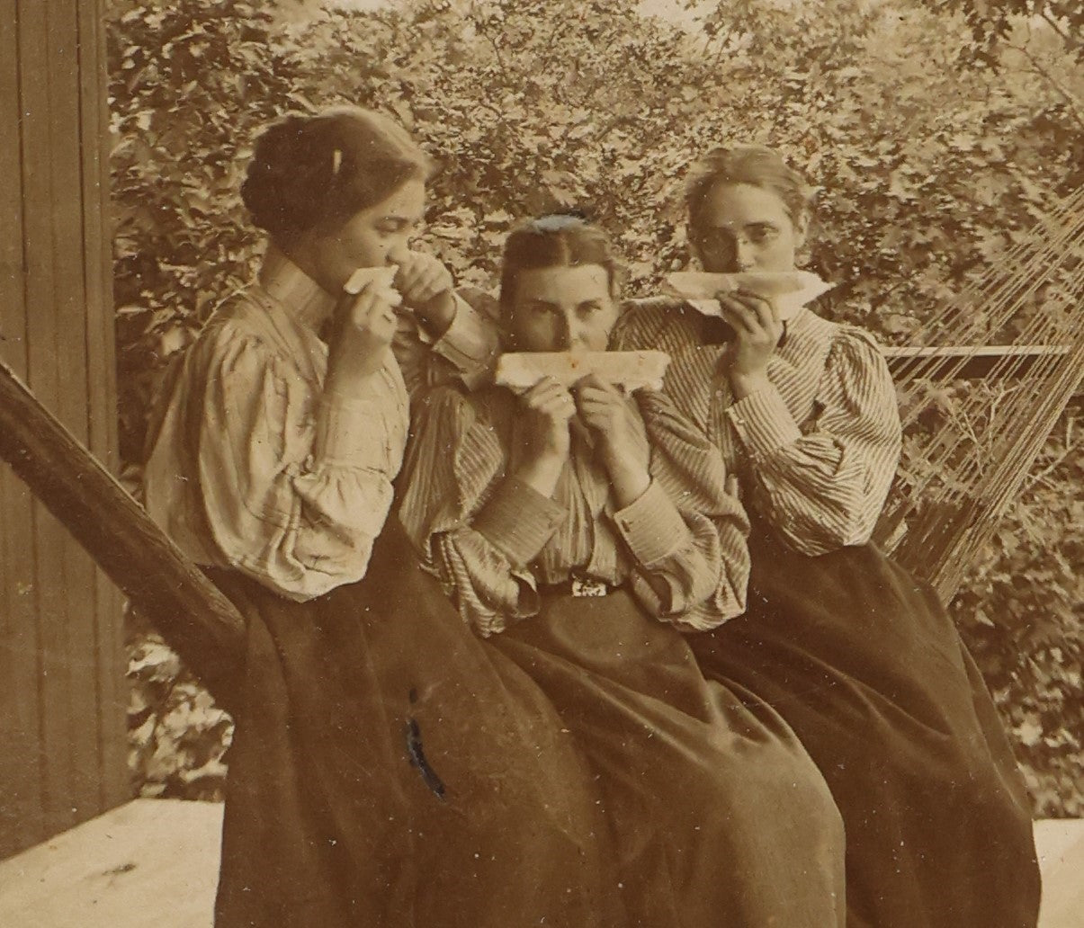 Lot 058 - Antique Boarded Photo Of Three Young Women On Hammock Outside, Playing Home Made Comb Instruments, With Poem On Back, Identified As Harriet, Florence, And Lizzie