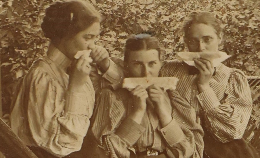 Lot 058 - Antique Boarded Photo Of Three Young Women On Hammock Outside, Playing Home Made Comb Instruments, With Poem On Back, Identified As Harriet, Florence, And Lizzie