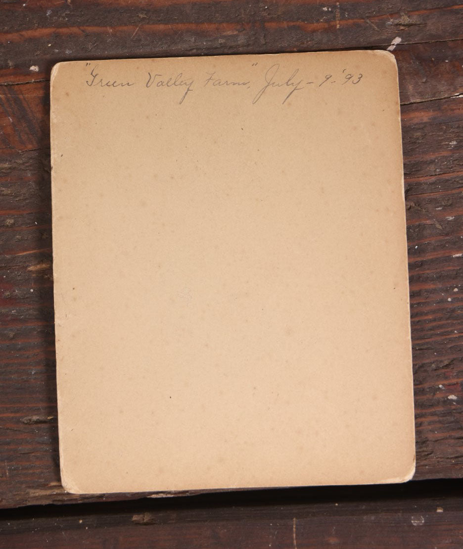 Lot 059 - Antique Boarded Photo Of Musicians, Banjo And Mandolin Players, Friends, At Green Valley Farm, July 1893