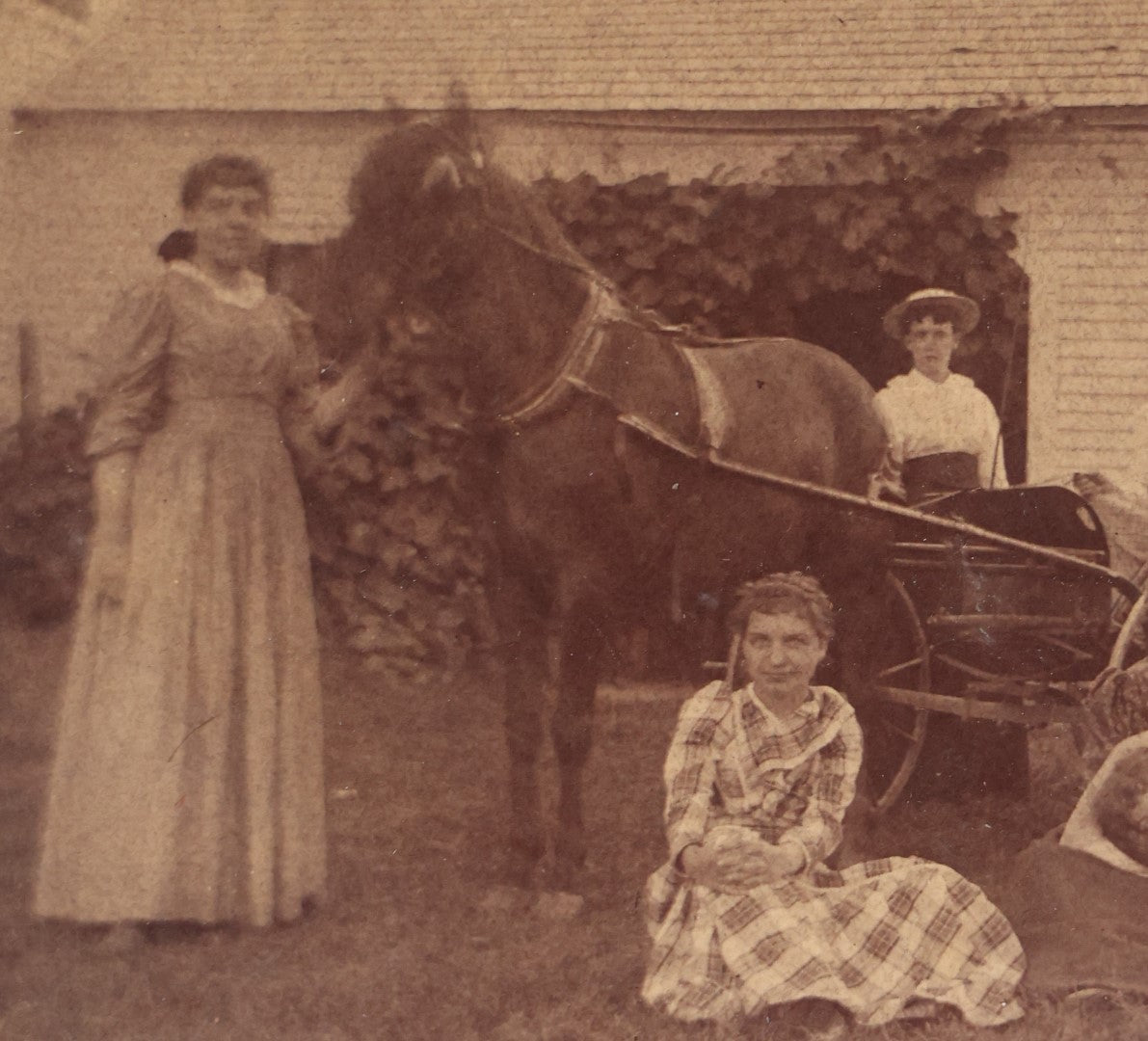 Lot 060 - Antique Boarded Photo Of Horse Drawn Carriage, Friends, At Green Valley Farm, July 1893