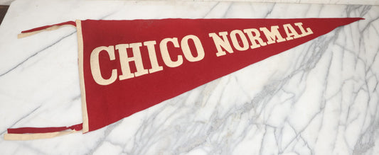 Lot 089 - Antique Felt Pennant From The Chico Normal School, Future California State University, Teacher Training School, Chico California, Circa 1920