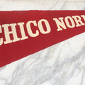 Lot 089 - Antique Felt Pennant From The Chico Normal School, Future California State University, Teacher Training School, Chico California, Circa 1920