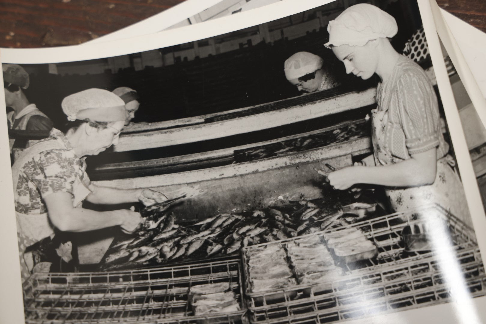 Lot 008 - Vintage Archival Photo And Ephemera Lot Relating To The Sardine Fishing And Canning Industry, R.J. Peacock Canning Co. Of Lubec, Maine, Photos By Martin Sheridan