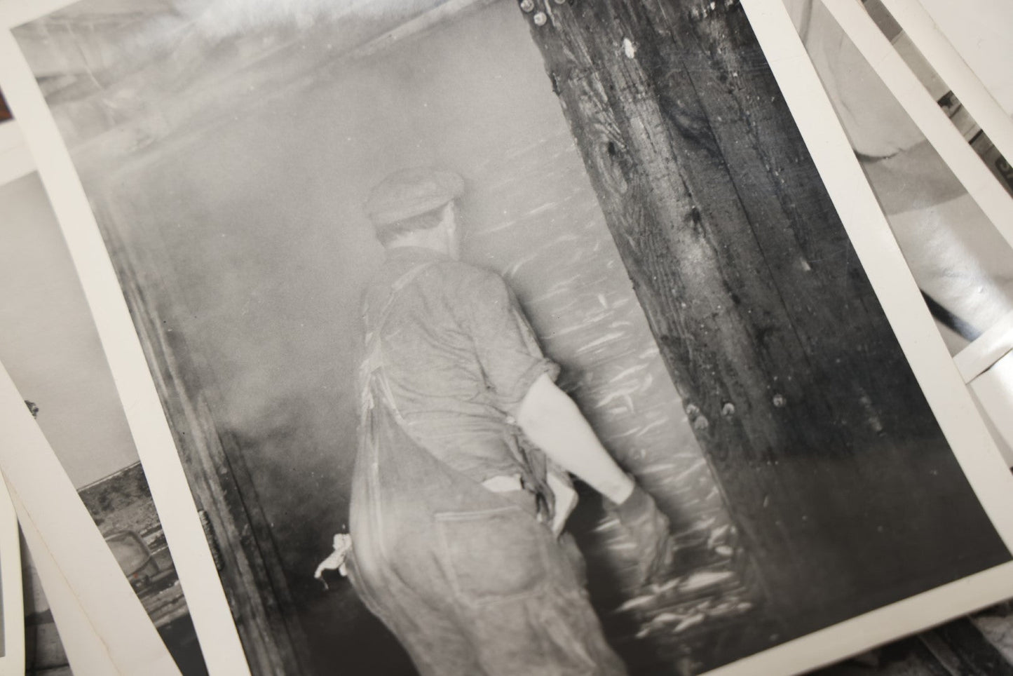 Lot 008 - Vintage Archival Photo And Ephemera Lot Relating To The Sardine Fishing And Canning Industry, R.J. Peacock Canning Co. Of Lubec, Maine, Photos By Martin Sheridan