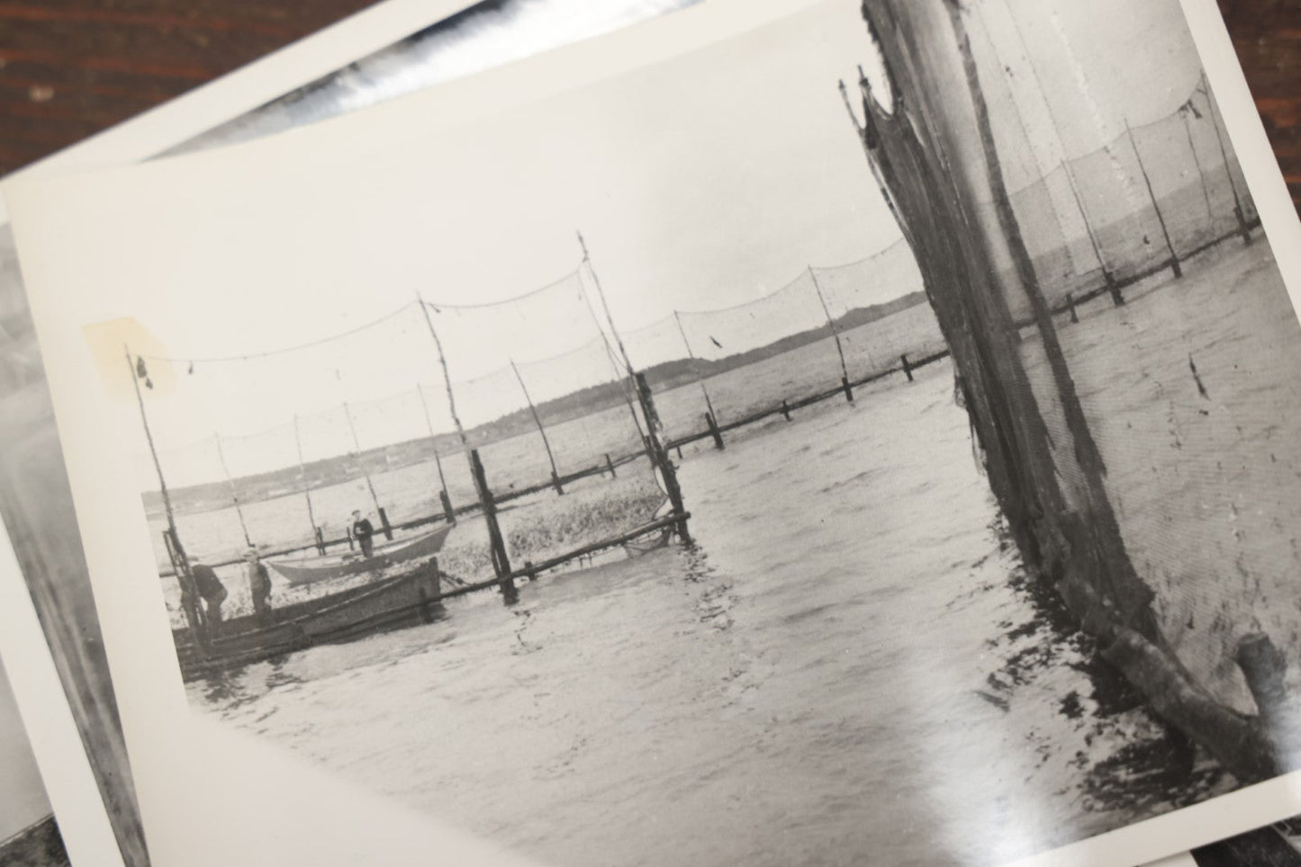 Lot 008 - Vintage Archival Photo And Ephemera Lot Relating To The Sardine Fishing And Canning Industry, R.J. Peacock Canning Co. Of Lubec, Maine, Photos By Martin Sheridan
