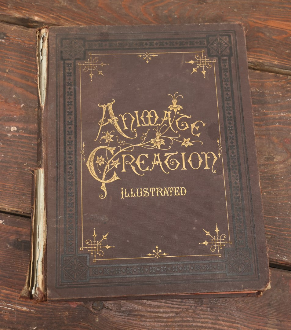 Lot 009 - Pair Of Antique Illustrated Zoology Books, "Animate Creation: Our Living World, A Natural History" By Reverend J.G.Wood, Copyright 1885, Volume I: Mamalia, And Volume Iv Birds