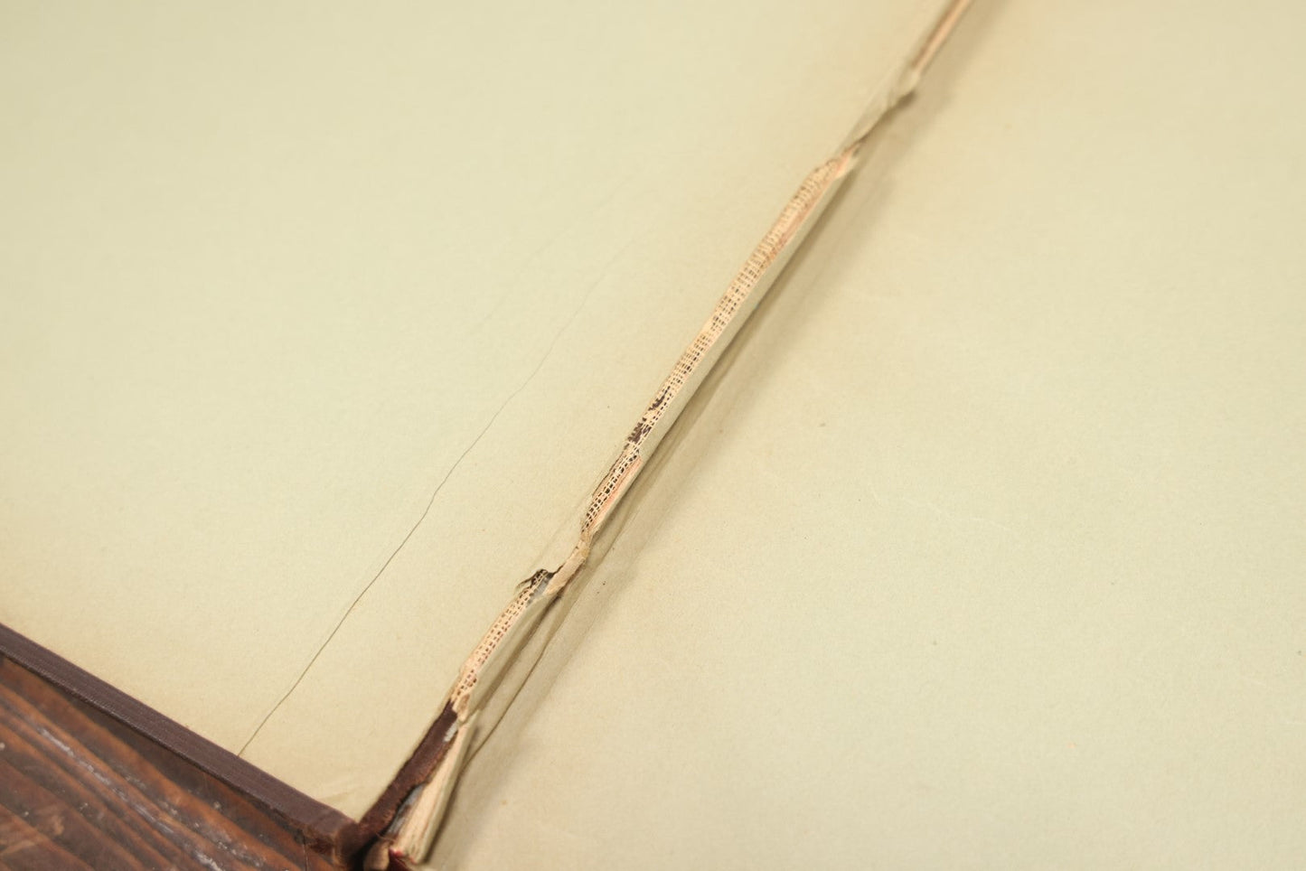 Lot 009 - Pair Of Antique Illustrated Zoology Books, "Animate Creation: Our Living World, A Natural History" By Reverend J.G.Wood, Copyright 1885, Volume I: Mamalia, And Volume Iv Birds