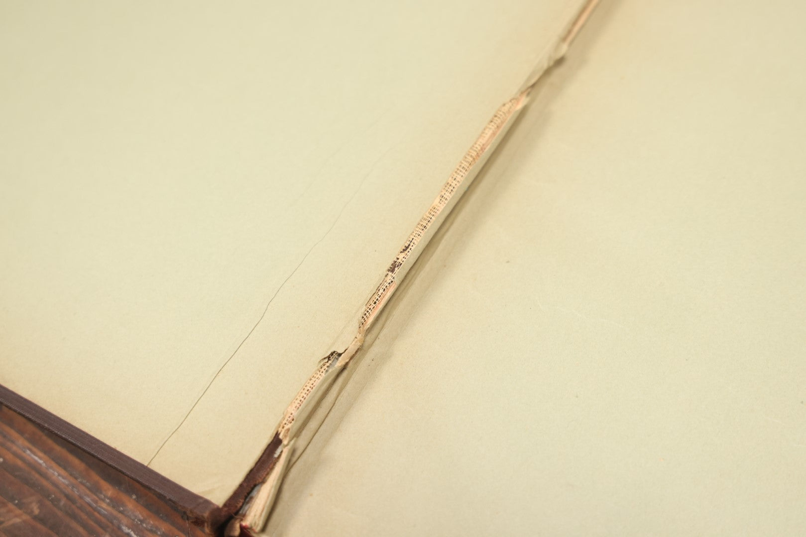 Lot 009 - Pair Of Antique Illustrated Zoology Books, "Animate Creation: Our Living World, A Natural History" By Reverend J.G.Wood, Copyright 1885, Volume I: Mamalia, And Volume Iv Birds