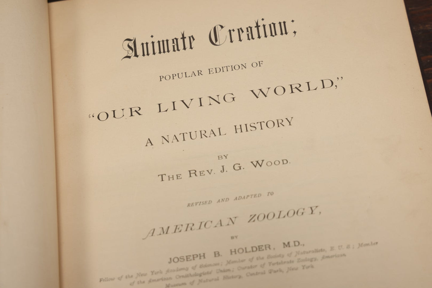 Lot 009 - Pair Of Antique Illustrated Zoology Books, "Animate Creation: Our Living World, A Natural History" By Reverend J.G.Wood, Copyright 1885, Volume I: Mamalia, And Volume Iv Birds