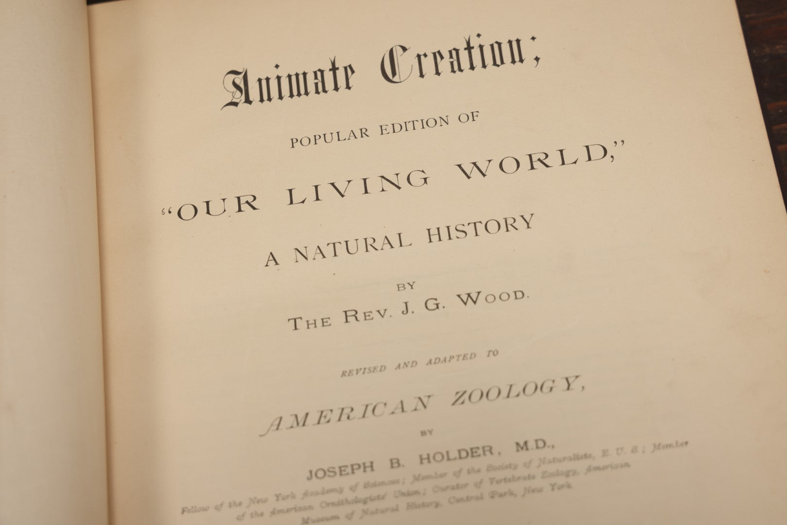 Lot 009 - Pair Of Antique Illustrated Zoology Books, "Animate Creation: Our Living World, A Natural History" By Reverend J.G.Wood, Copyright 1885, Volume I: Mamalia, And Volume Iv Birds