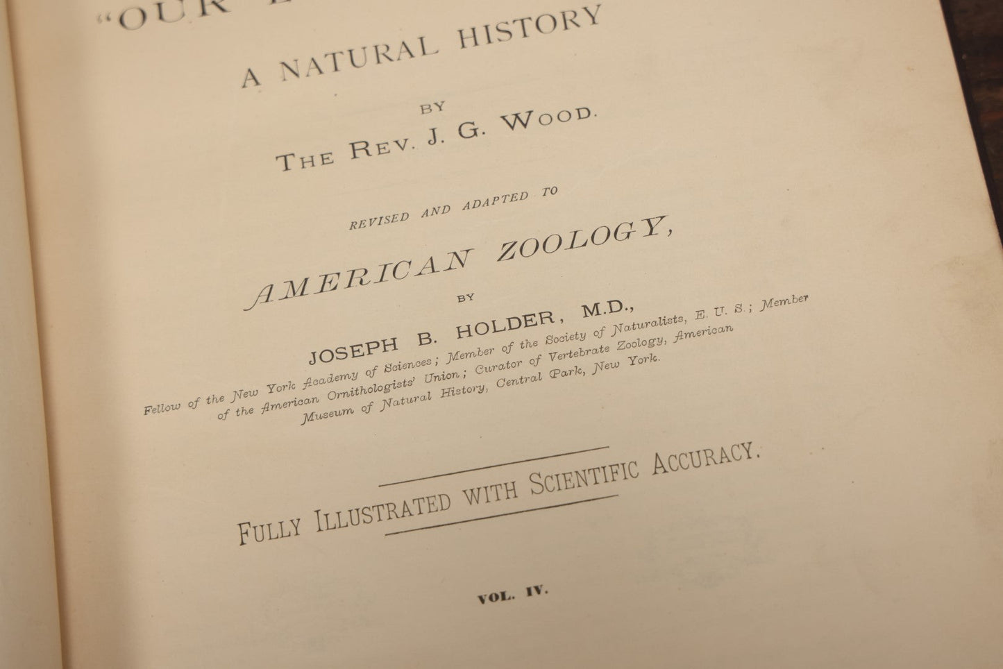 Lot 009 - Pair Of Antique Illustrated Zoology Books, "Animate Creation: Our Living World, A Natural History" By Reverend J.G.Wood, Copyright 1885, Volume I: Mamalia, And Volume Iv Birds