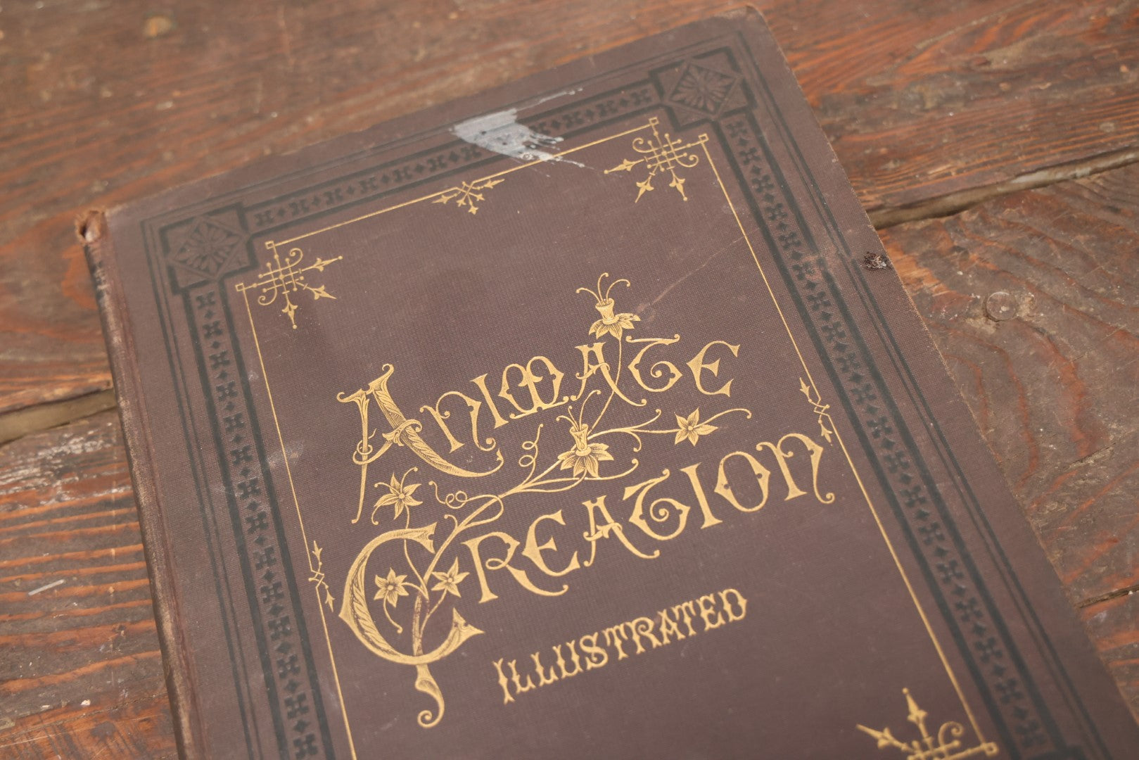 Lot 009 - Pair Of Antique Illustrated Zoology Books, "Animate Creation: Our Living World, A Natural History" By Reverend J.G.Wood, Copyright 1885, Volume I: Mamalia, And Volume Iv Birds