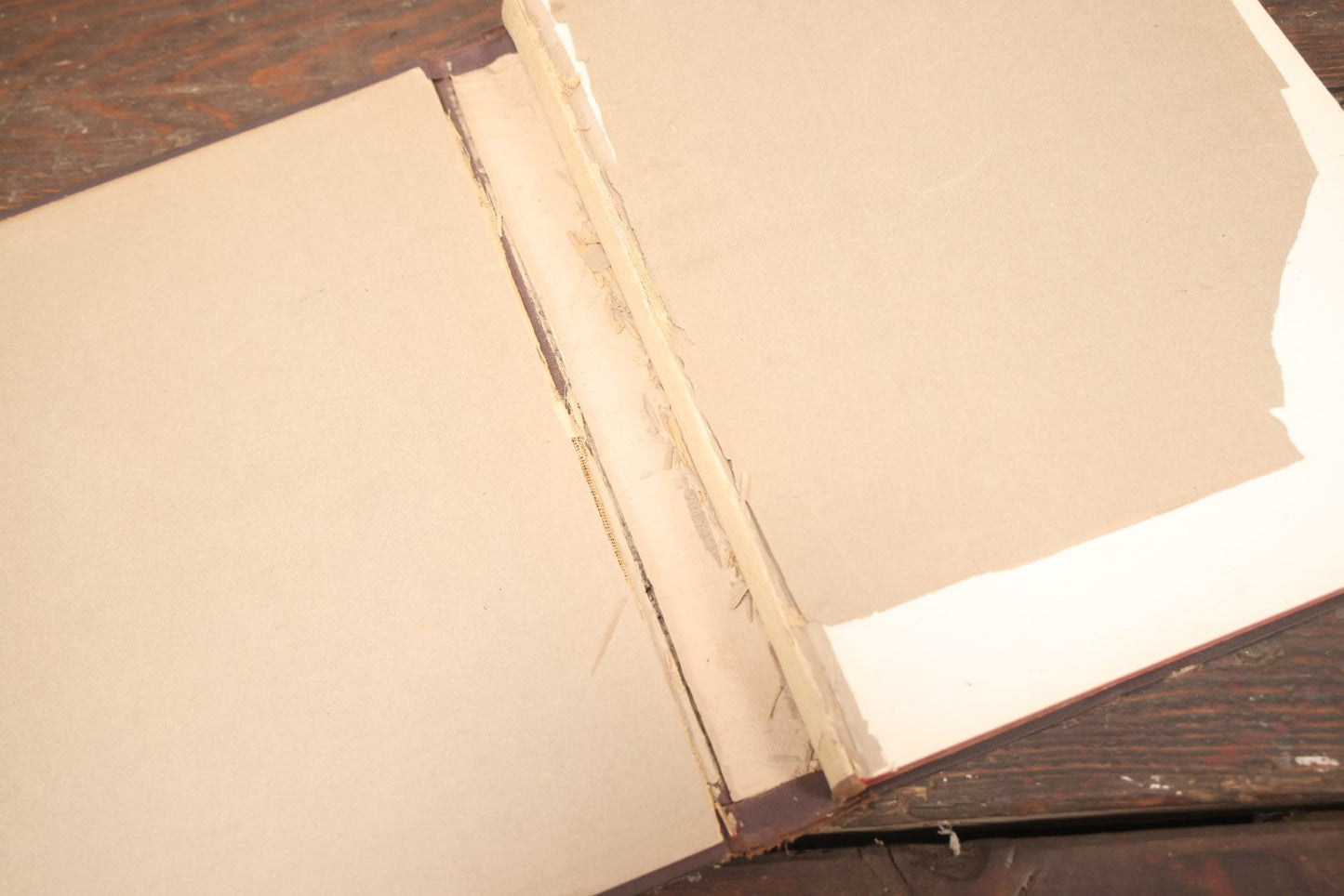 Lot 009 - Pair Of Antique Illustrated Zoology Books, "Animate Creation: Our Living World, A Natural History" By Reverend J.G.Wood, Copyright 1885, Volume I: Mamalia, And Volume Iv Birds