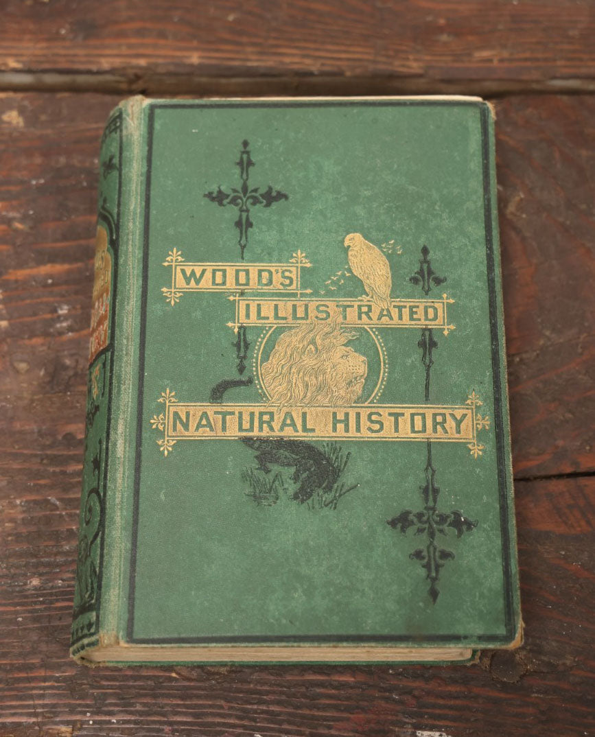Lot 010 - "Wood'S Illustrated Natural History" Antique Illustrated Zoology Book By Reverend J.G. Wood, Over 400 Illustrations, 1874 Edition