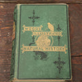 Lot 010 - "Wood's Illustrated Natural History" Antique Illustrated Zoology Book By Reverend J.G. Wood, Over 400 Illustrations, 1874 Edition