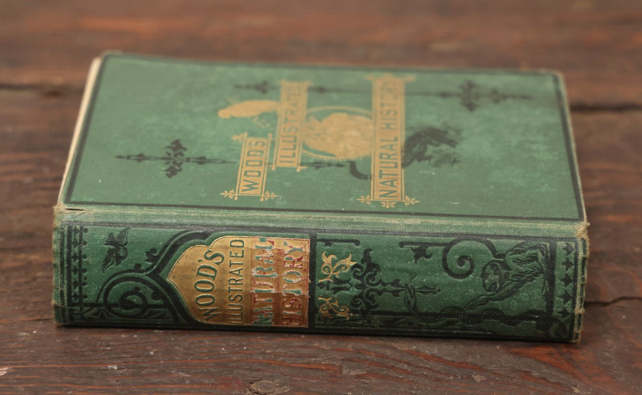 Lot 010 - "Wood'S Illustrated Natural History" Antique Illustrated Zoology Book By Reverend J.G. Wood, Over 400 Illustrations, 1874 Edition